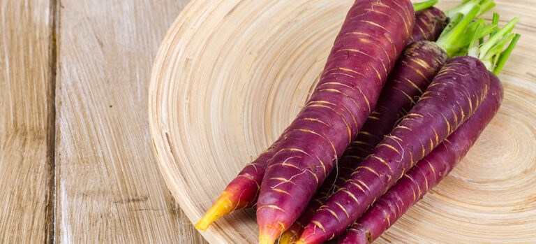Zanahoria morá lilla gulrøtter – en arv fra Al-Ándalus