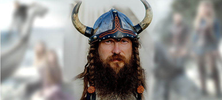 toef-viking
