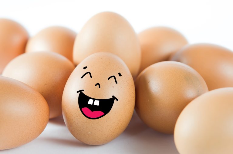 Hvorfor står ikke eggene kaldt i spanske butikker og supermarkeder?