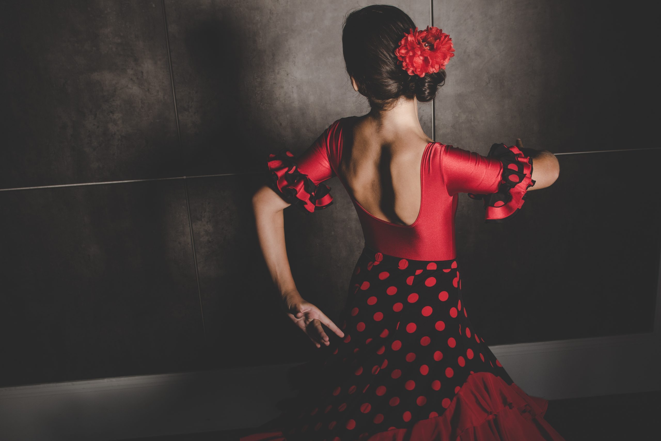 The Arts Society Nerja foredrag om flamenco