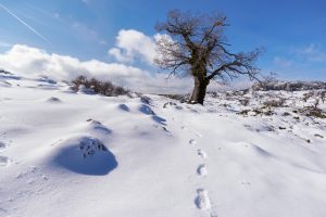 ½ meter snø og fortapte fjellvandrere i Sierra de las Nieves