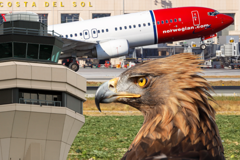 Ørnepatruljen på Málaga flyplass