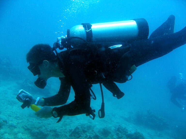 Diver,Underwater