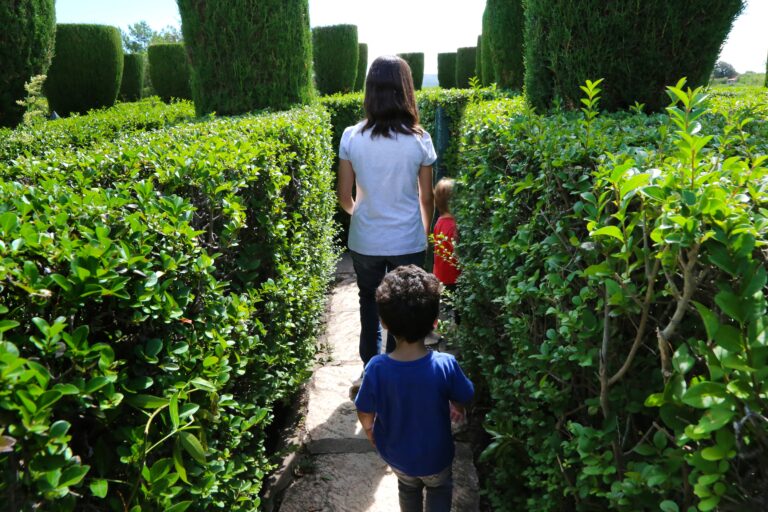 Family,Going,Through,A,Vegetable,Maze.,Boy,And,Girl,Having