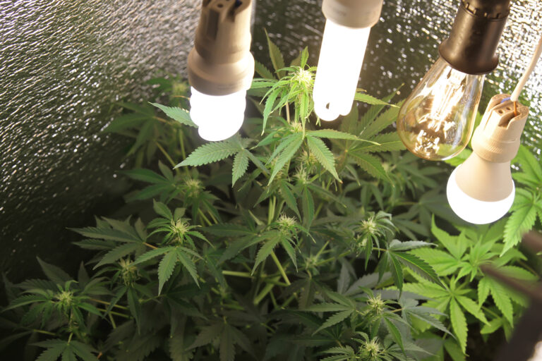 Narkoleiligheter gjenopprettes som sosialboliger