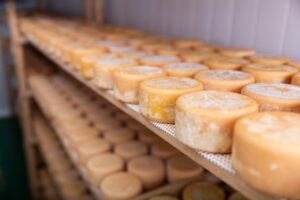 Lokal geitost blant verdens 50 beste