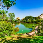 Nyplanting i La Paloma-parken i Benalmádena