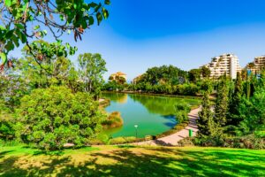 Nyplanting i La Paloma-parken i Benalmádena